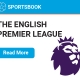 icon of premier league